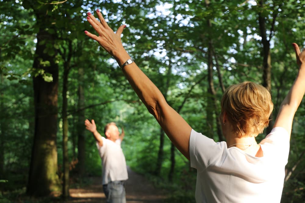 forest bathing