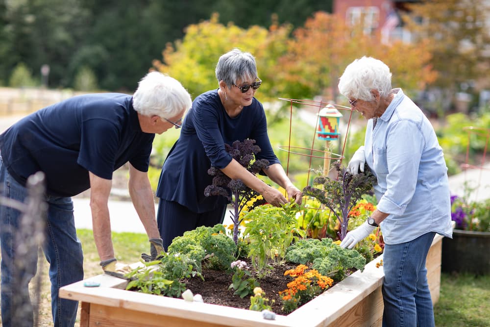 residents embracing a year of wellness and balance