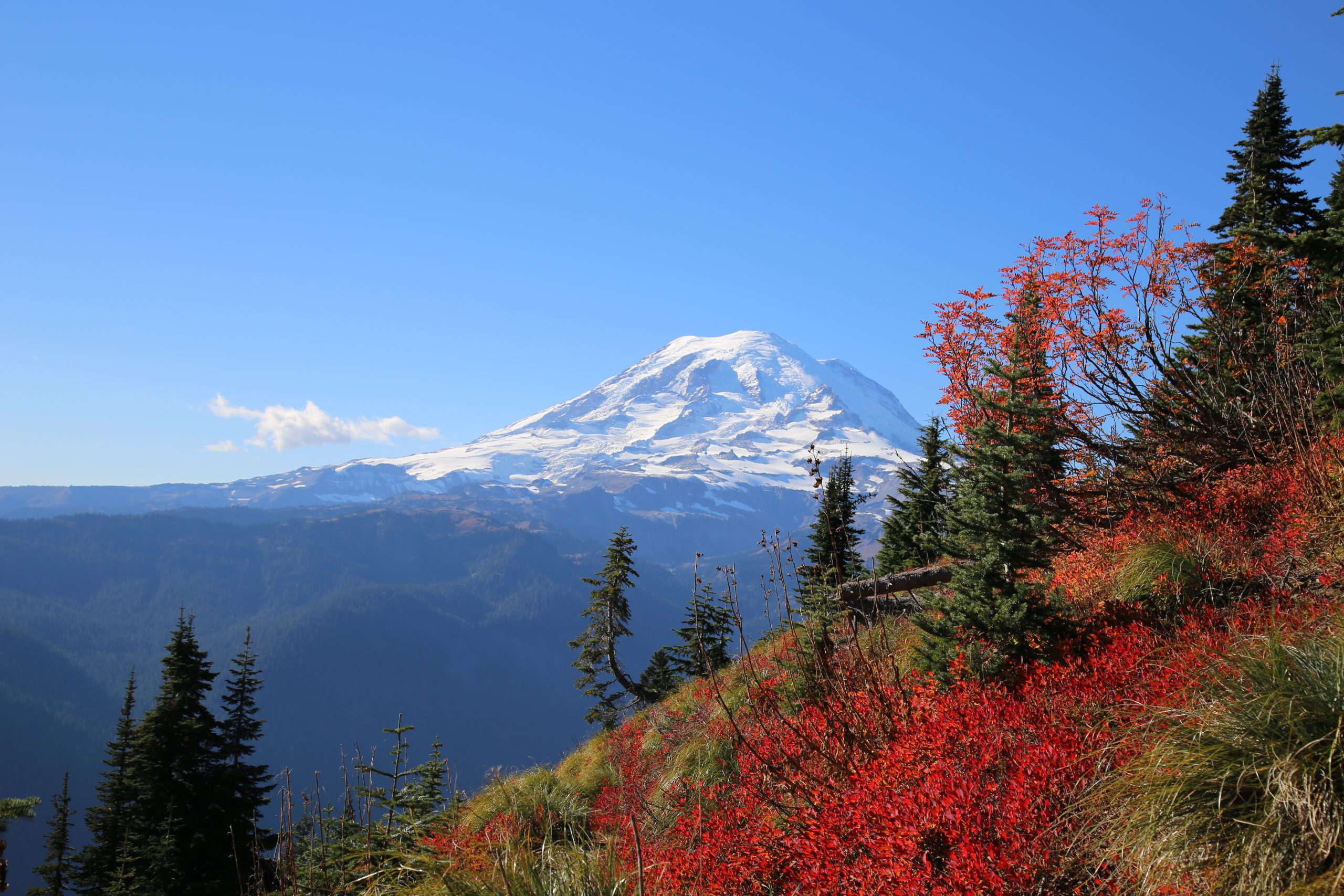 Fall Activities For 4 Year Olds